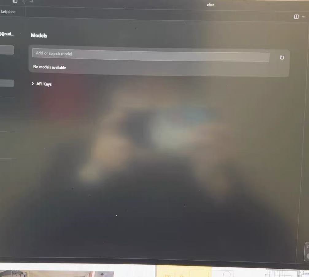 No models available 问题截图